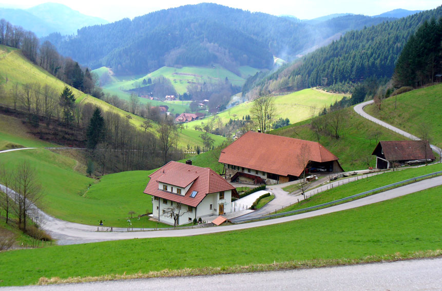 Bild 1a